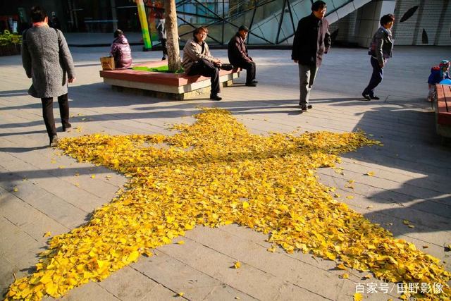 荷甲国际比赛日走向成谜；上海海港绝杀压哨；管理层满意；临场指挥获称赞