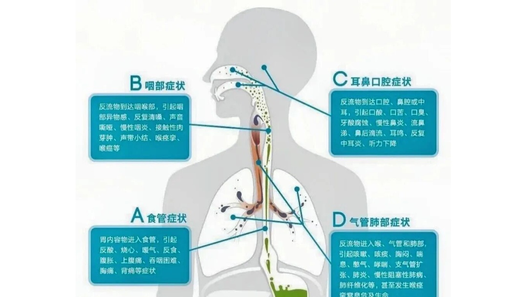 开元体育-盐巴戟天的作用与功效