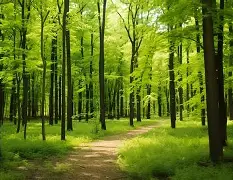 开云体育官方网站-峰度控股骆国峰