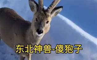 开云体育官方网站-piC傻漓?a?轈?>(不爱就算了pixxie)